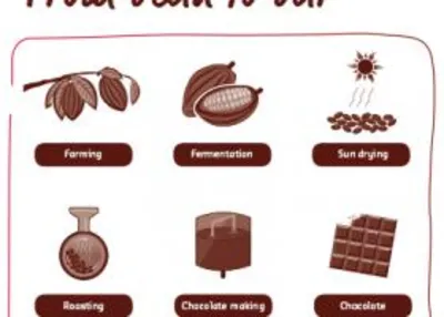 What gives chocolate its delicious and unique taste?
