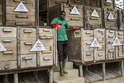 Cacao-Trace: The role of Post-Harvest Centers