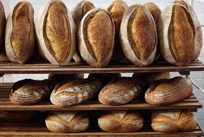 Sapore Tosca Sourdough