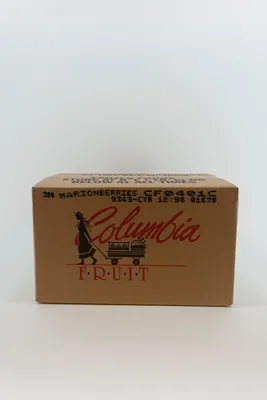 Frozen IQF Marion Berries 30#