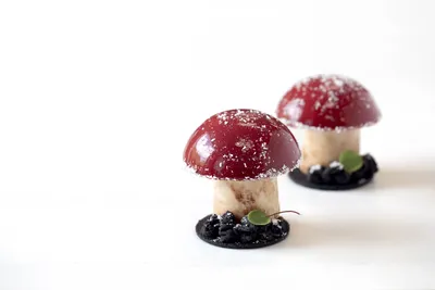 Chocolate Hazelnut Cupcake Mushroom
