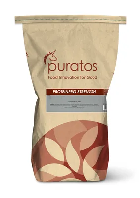 ProteinPro Strength