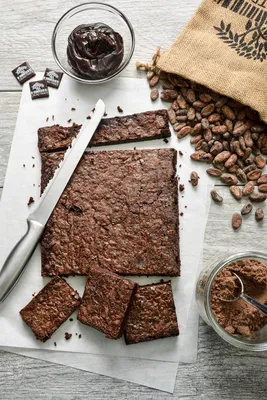 Tegral Cacao-Trace Clean Label Brownie Mix