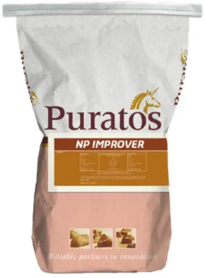 NP Improver