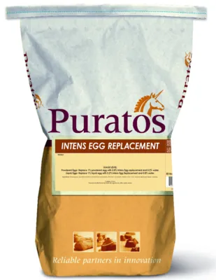 Intens Egg Replacement