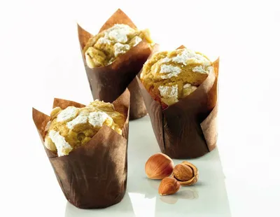 PatisFrance Hazelnut Praline 50%