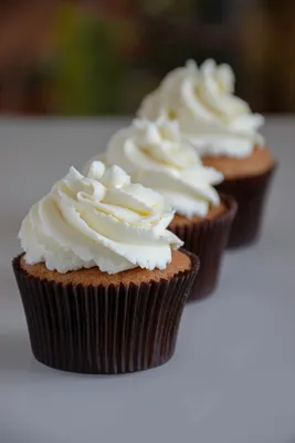 Puratop Fluffy Vanilla Cake Frosting Plant-Based