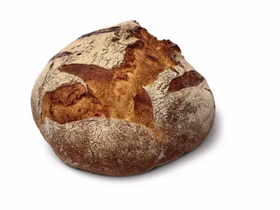 San Francisco Sour Flavor