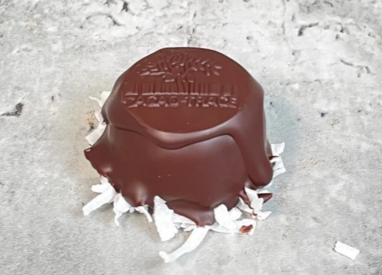 Amber Grain Chocolate Bites - Puratos