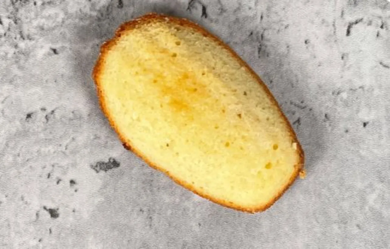 Lemon Madeleine - Puratos