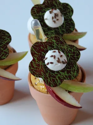 Plant Based Apple & Flax Seeds Muffin