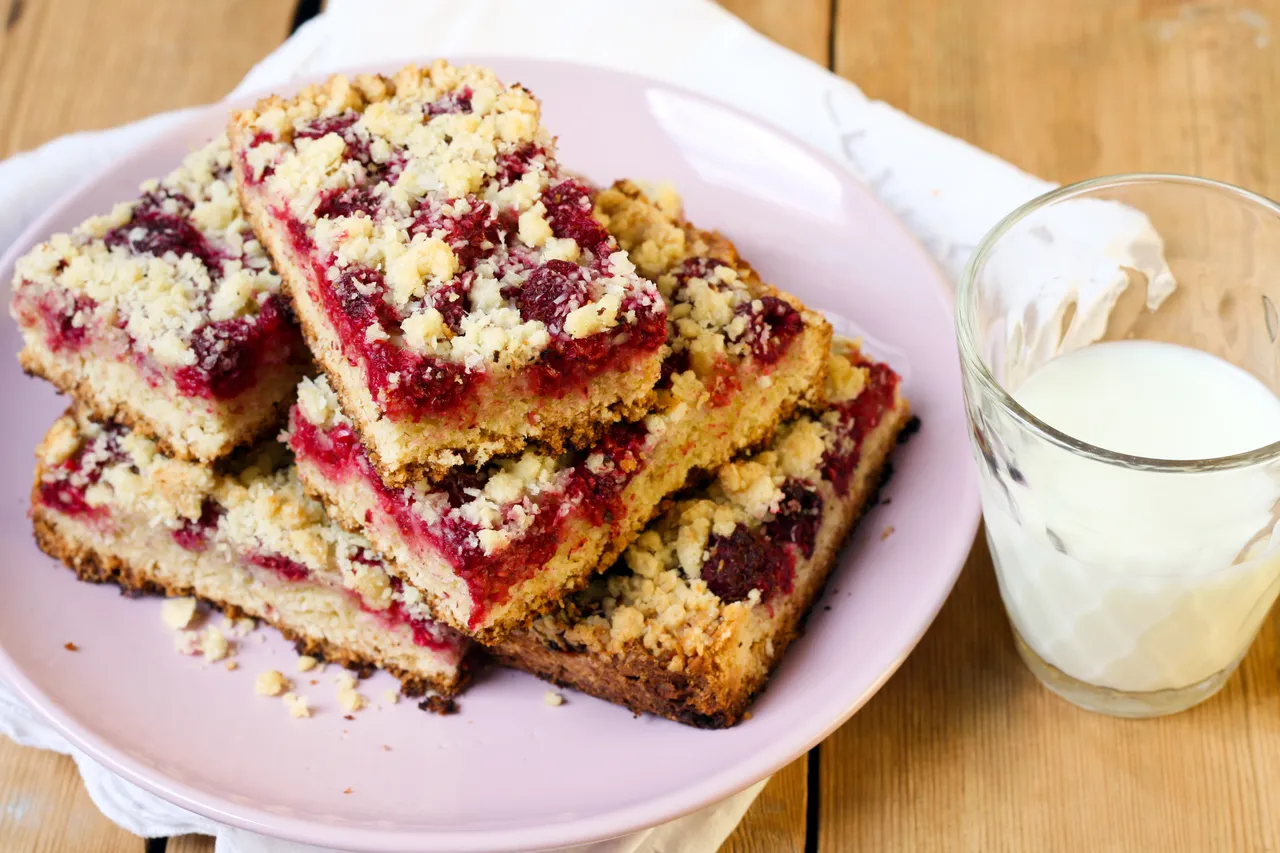 Plant-Based Raspberry Bar - Puratos