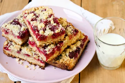 Plant-Based Raspberry Bar
